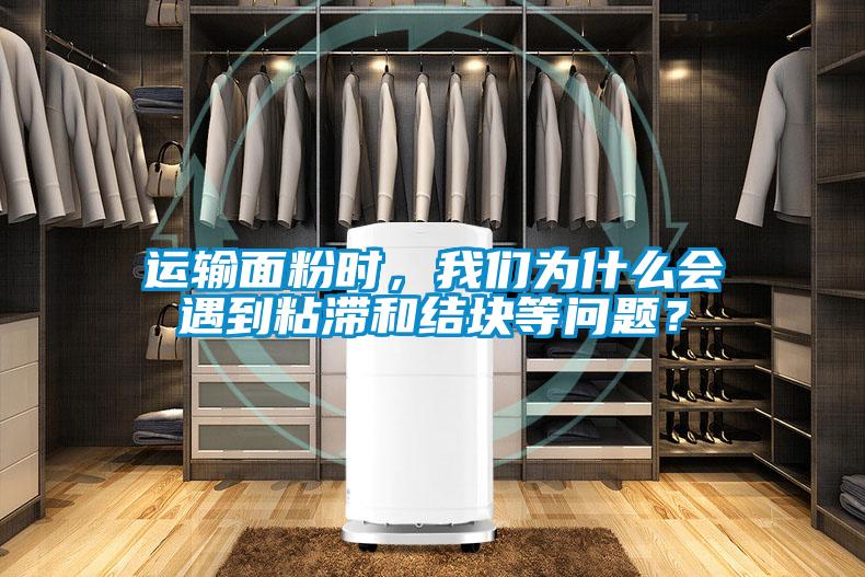 運輸面粉時,我們為什么會遇到粘滯和結塊等問題?