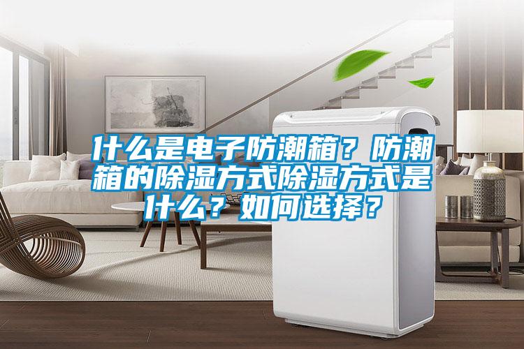 什么是電子防潮箱？防潮箱的除濕方式除濕方式是什么？如何選擇？