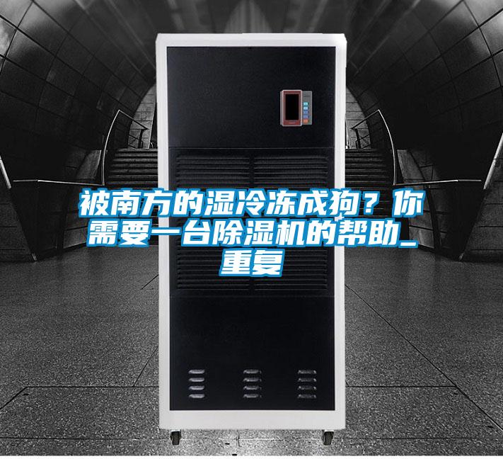 被南方的濕冷凍成狗?你需要一臺除濕機(jī)的幫助_重復(fù)