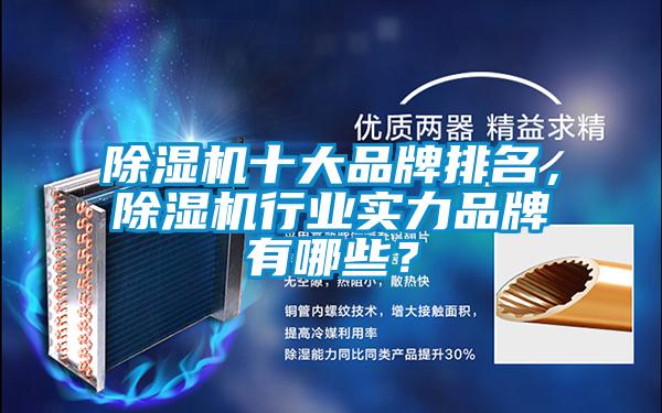 除濕機十大品牌排名,除濕機行業(yè)實力品牌有哪些?