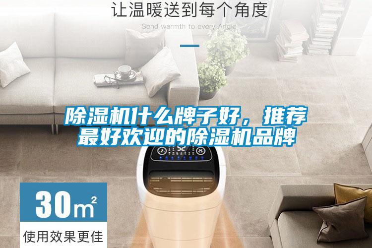 除濕機(jī)什么牌子好,推薦最好歡迎的除濕機(jī)品牌