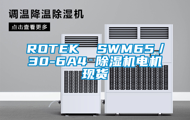 ROTEK SWM65/30-6A4 除濕機電機現貨