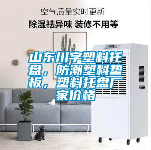 山東川字塑料托盤,防潮塑料墊板,塑料托盤廠家價格