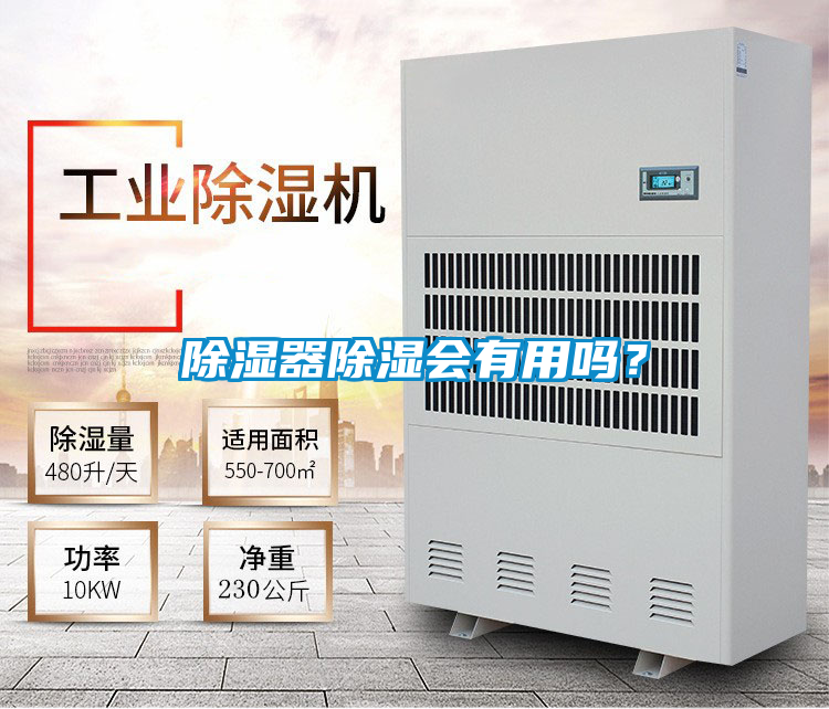 除濕器除濕會有用嗎？