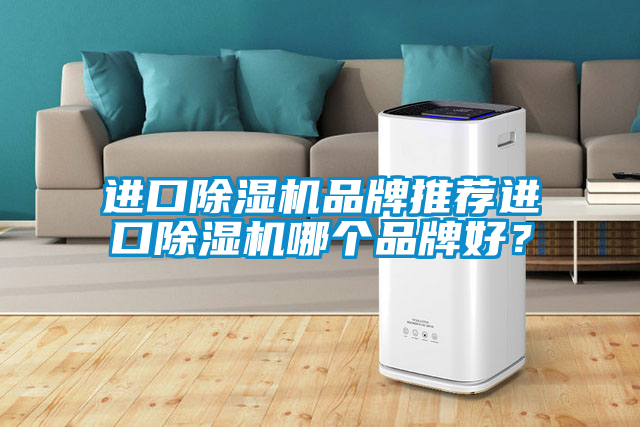 進口除濕機品牌推薦進口除濕機哪個品牌好？