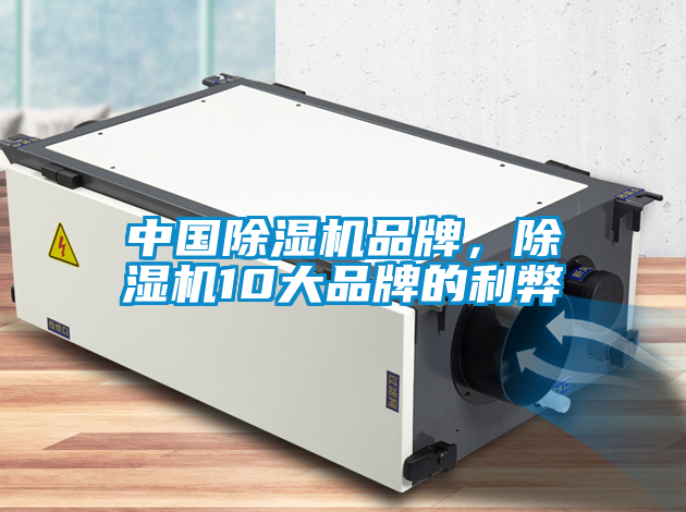 中國除濕機品牌，除濕機10大品牌的利弊