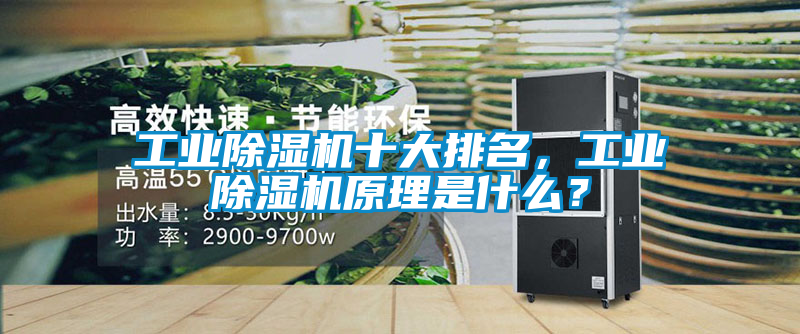工業除濕機十大排名，工業除濕機原理是什么？