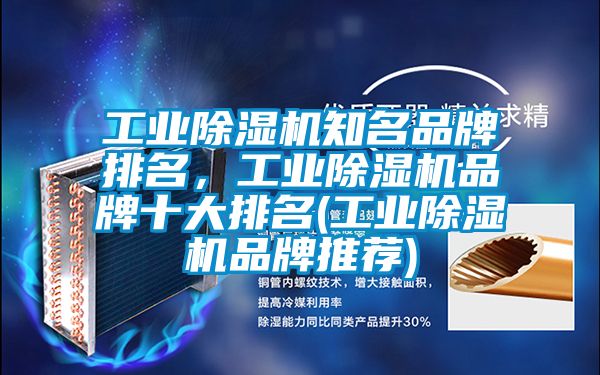 工業除濕機知名品牌排名，工業除濕機品牌十大排名(工業除濕機品牌推薦)