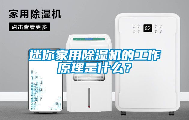 迷你家用除濕機的工作原理是什么?
