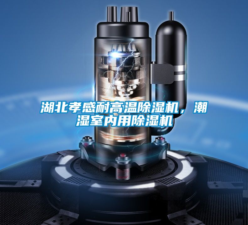 湖北孝感耐高溫除濕機，潮濕室內(nèi)用除濕機