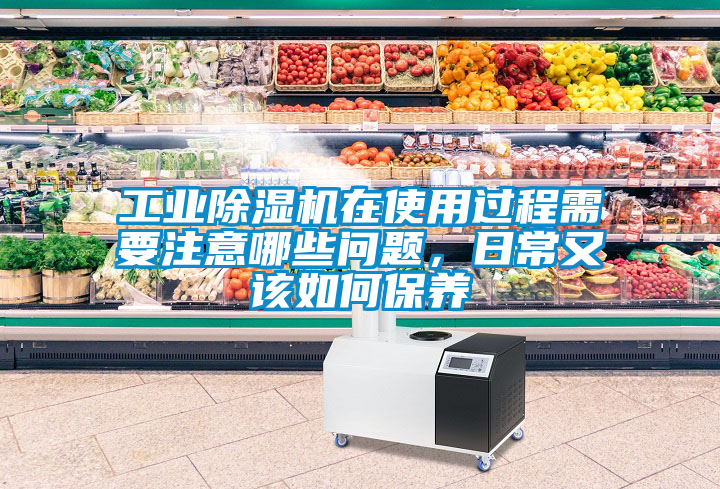 工業除濕機在使用過程需要注意哪些問題，日常又該如何保養