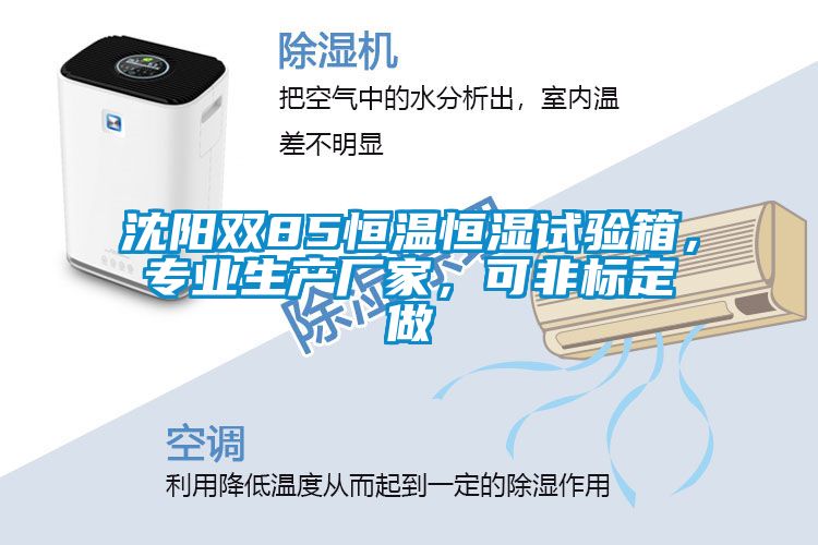 沈陽雙85恒溫恒濕試驗箱，專業生產廠家，可非標定做