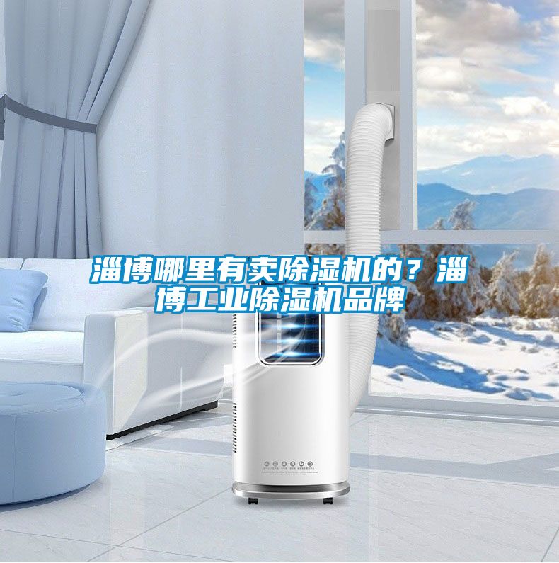 淄博哪里有賣除濕機的？淄博工業除濕機品牌
