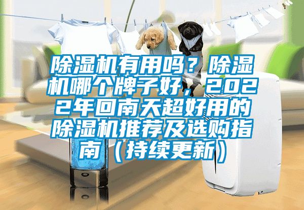 除濕機(jī)有用嗎？除濕機(jī)哪個(gè)牌子好，2022年回南天超好用的除濕機(jī)推薦及選購指南（持續(xù)更新）