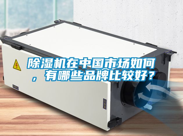 除濕機(jī)在中國(guó)市場(chǎng)如何,有哪些品牌比較好?