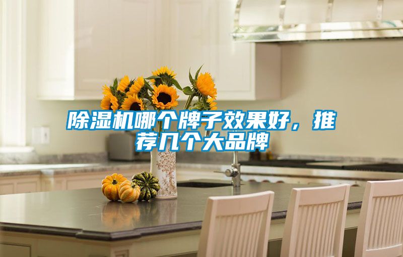 除濕機(jī)哪個(gè)牌子效果好，推薦幾個(gè)大品牌