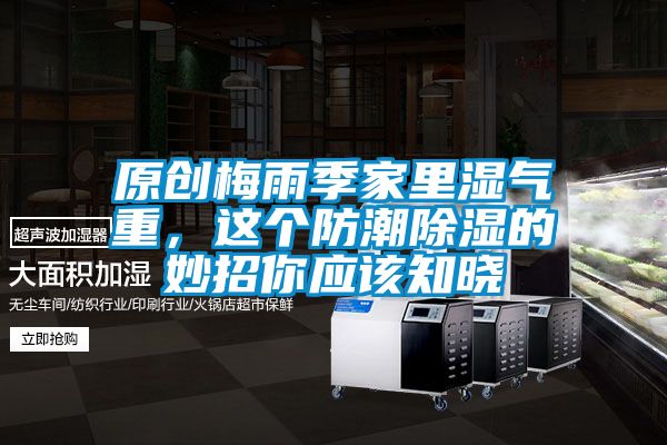 原創梅雨季家里濕氣重，這個防潮除濕的妙招你應該知曉